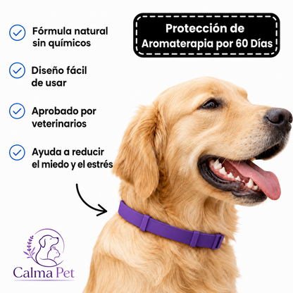 Collar Calmante Para Perros | Alivia La Ansiedad