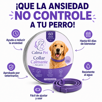 Collar Calmante Para Perros | Alivia La Ansiedad