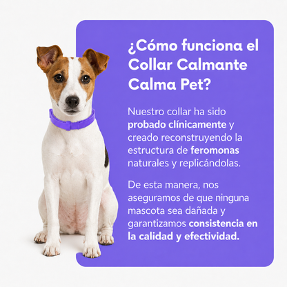 Collar Calmante Para Perros | Alivia La Ansiedad