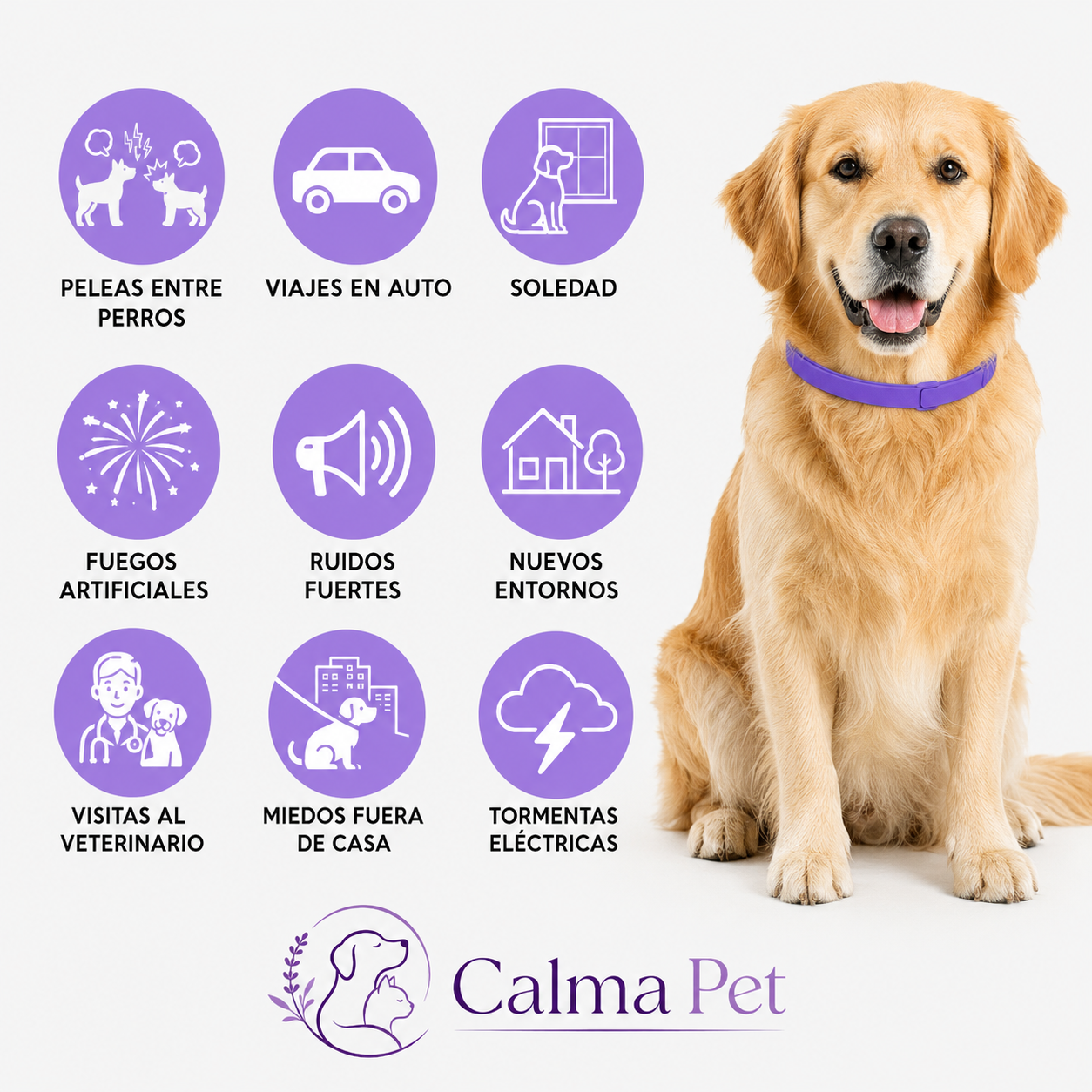 Collar Calmante Para Perros | Alivia La Ansiedad