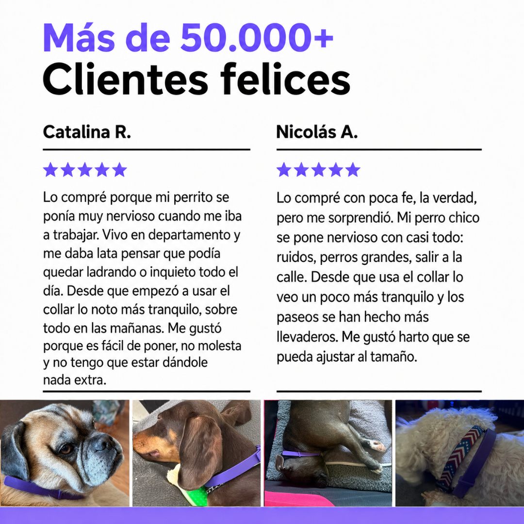 Collar Calmante Para Perros | Alivia La Ansiedad