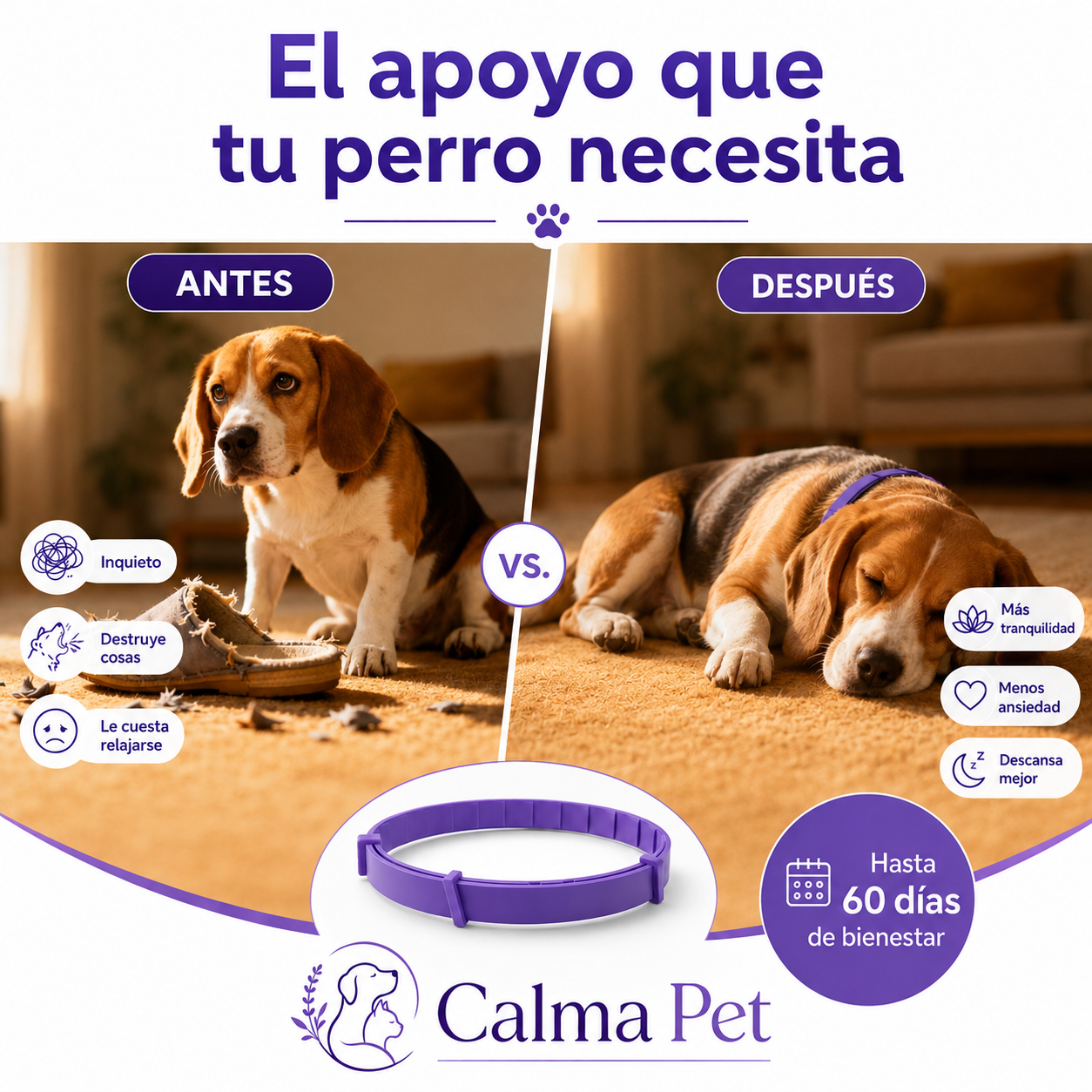 Collar Calmante Para Perros | Alivia La Ansiedad