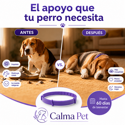 Collar Calmante Para Perros | Alivia La Ansiedad